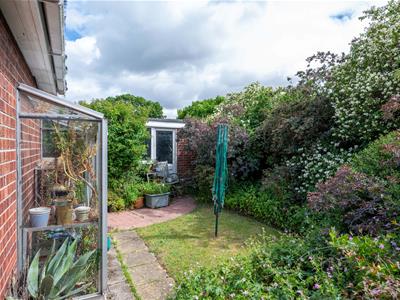 Picture 20